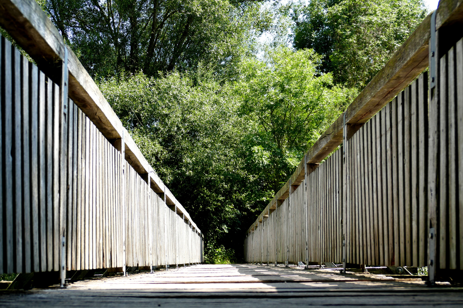 Vogelinsel Altmühltal