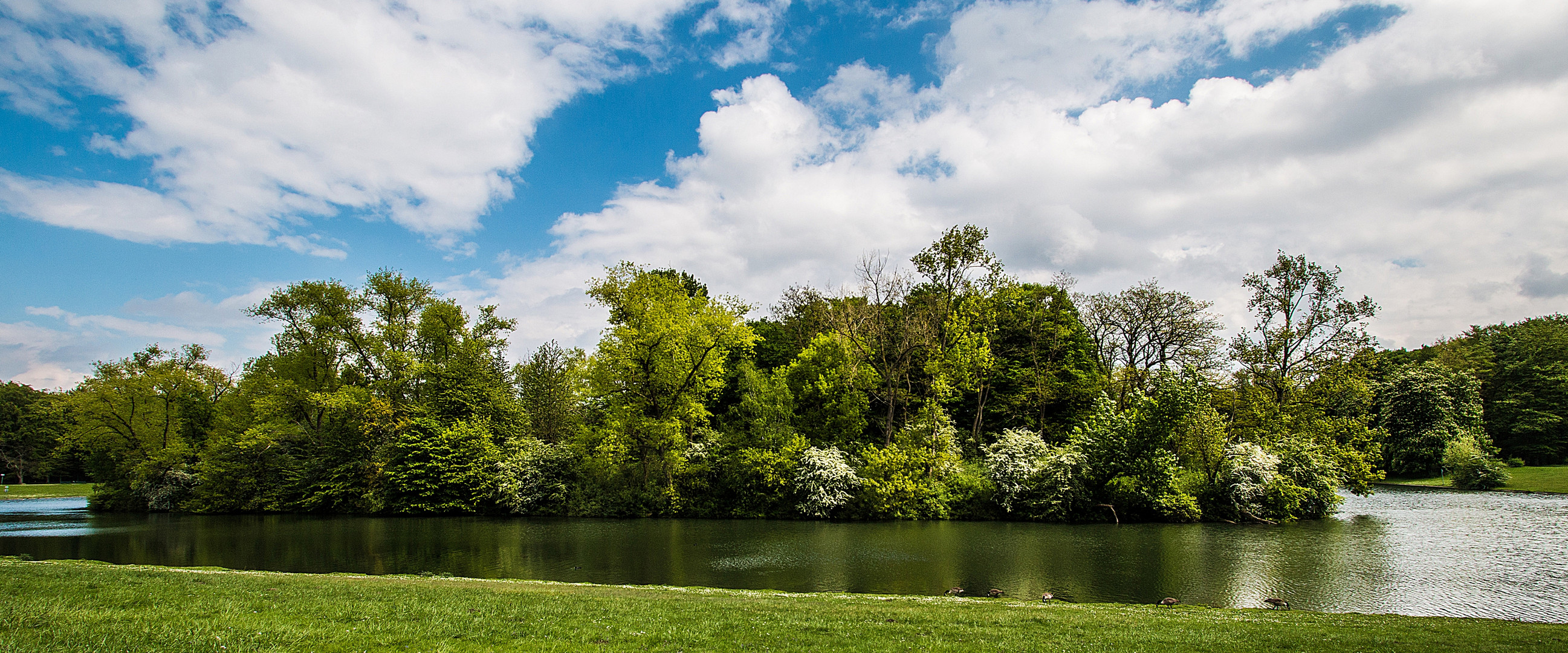 Vogelinsel im Decksteiner Weiher