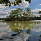 Vogelinsel im Mittelteich