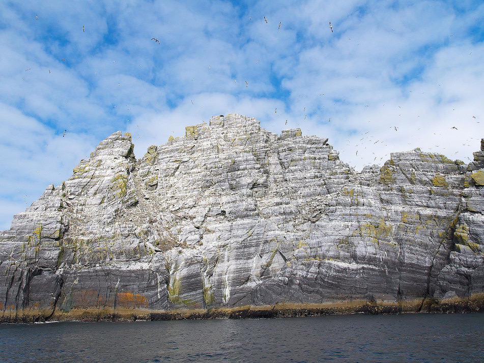 Vogelinsel / Irland Skellig Islands