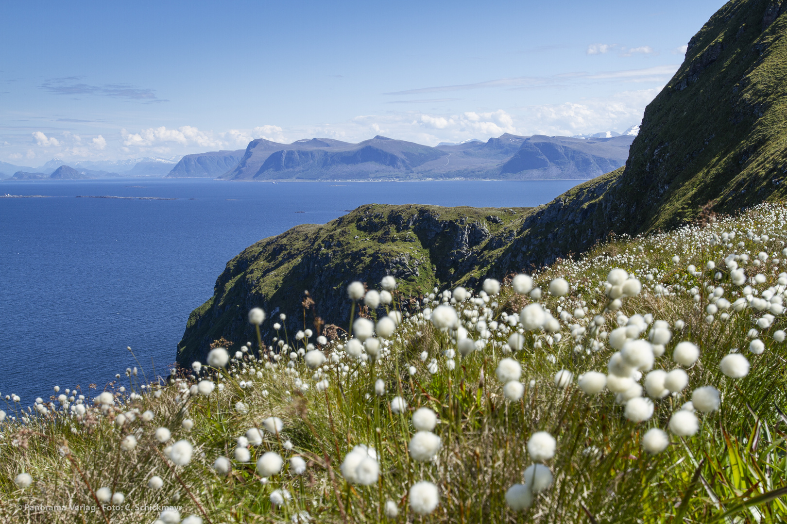 Vogelinsel Runde, Norway