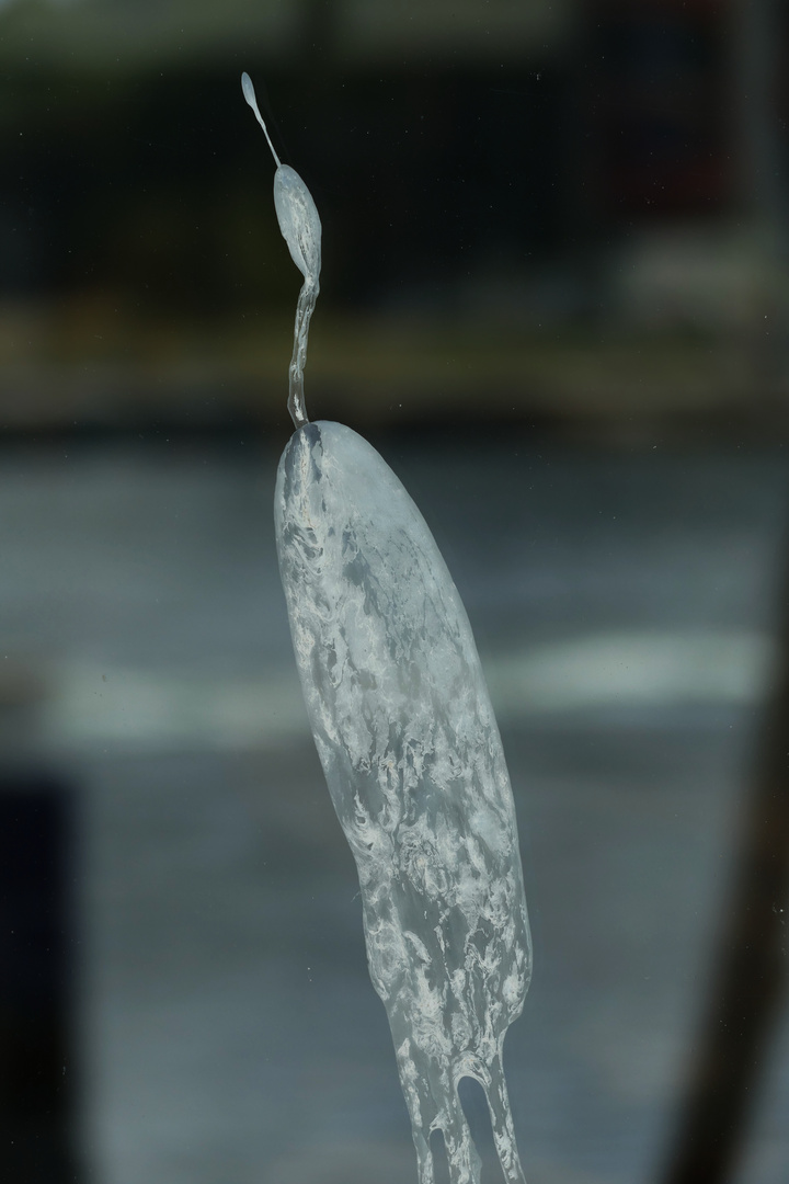 Vogelkot an einem Fenster von einem Kaffee