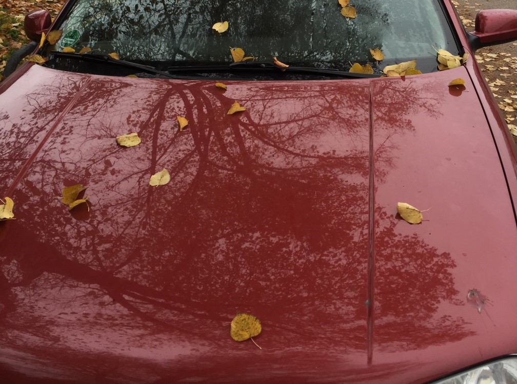 Vogelkot auf Motorhaube