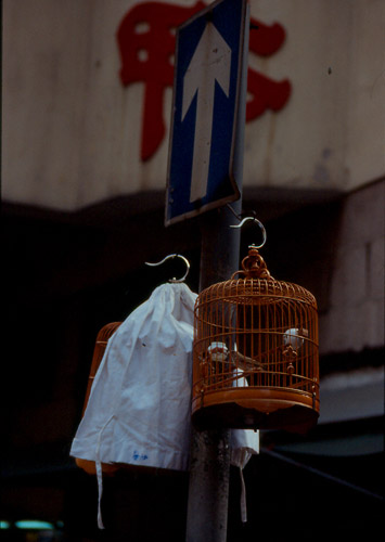 Vogelmarkt (1), Hong Kong 1997