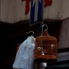 Vogelmarkt (1), Hong Kong 1997