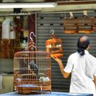 Vogelmarkt, Hong Kong