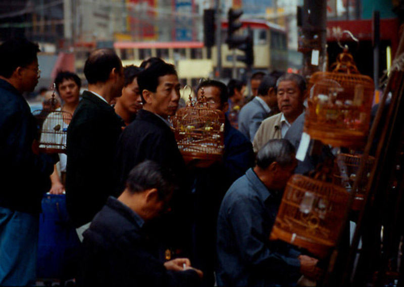 Vogelmarkt Hong Kong SAR