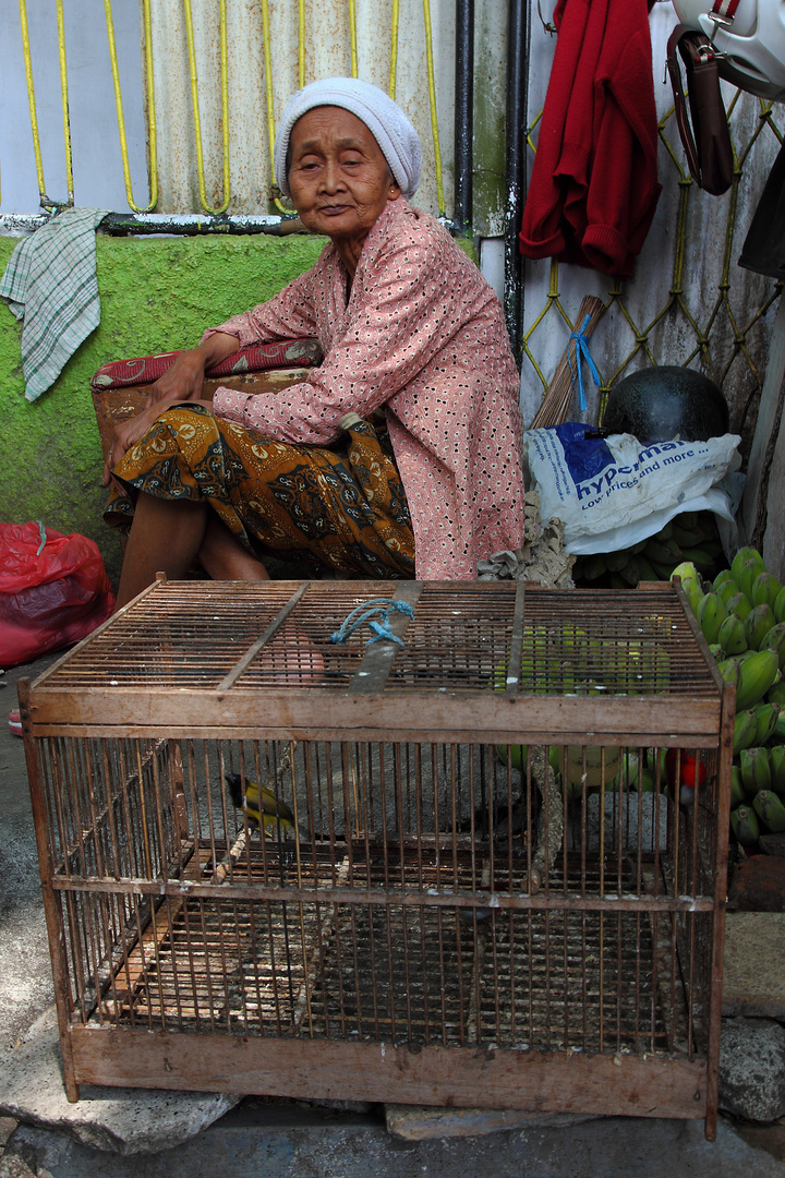 Vogelmarkt in Malang