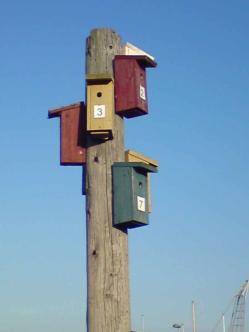 VogelMehrfamilienhaus!