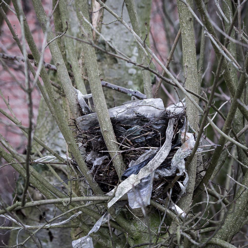 Vogelnest gebaut mit Abfallstoffen