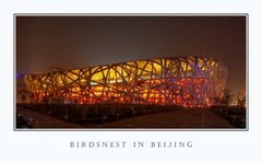 Vogelnest in Peking #2