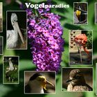 Vogelparadies