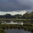 Vogelparadies Nettetal