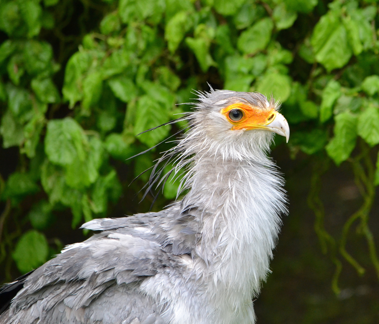 Vogelpark ;-)