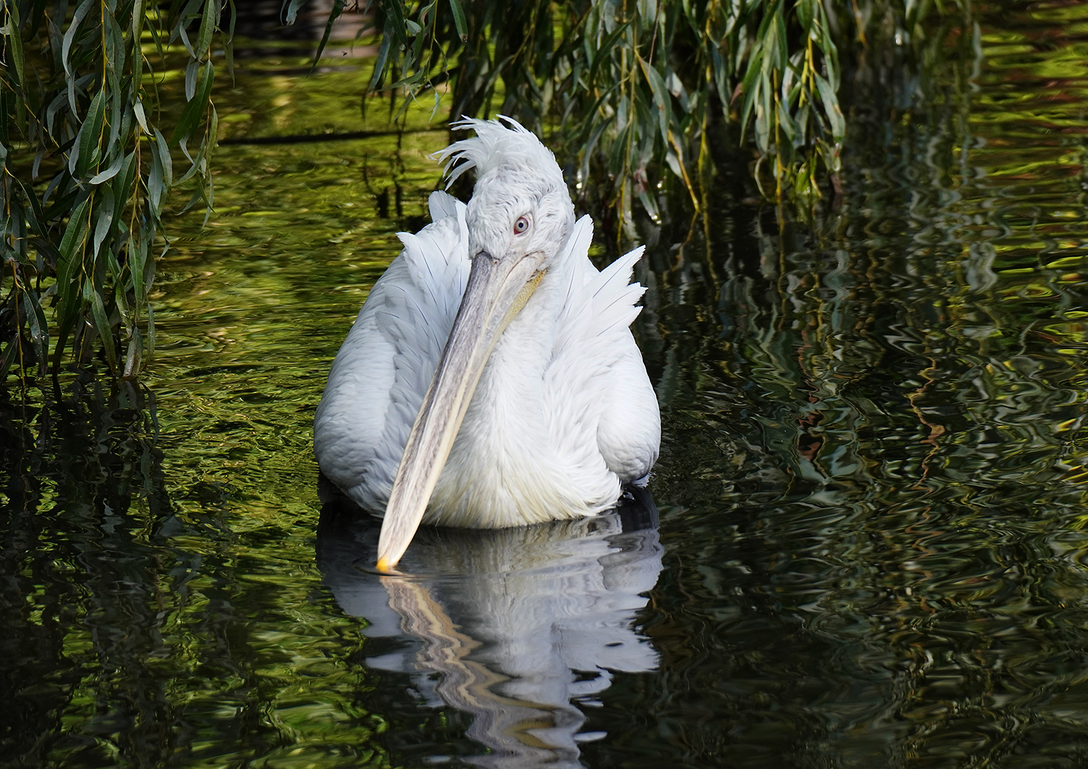 Vogelpark 