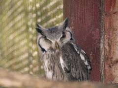 Vogelpark Abensberg