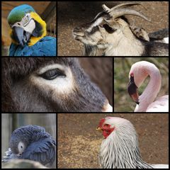 Vogelpark Abensberg