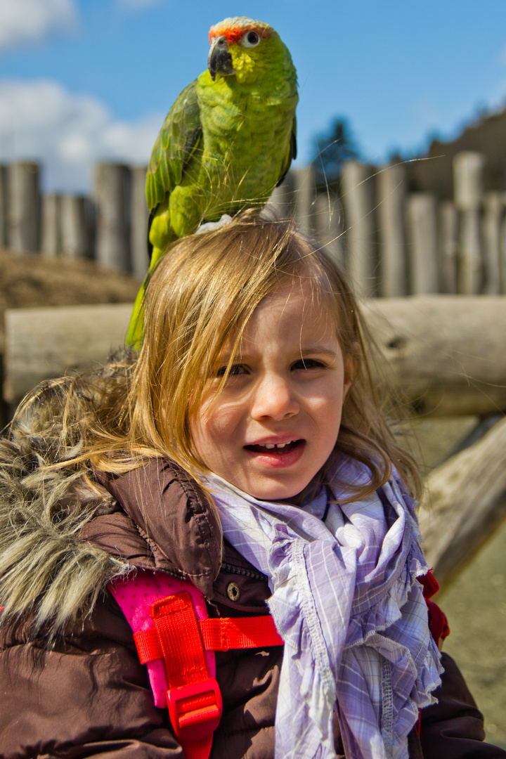 Vogelpark Detmold Papagei auf dem Kopf