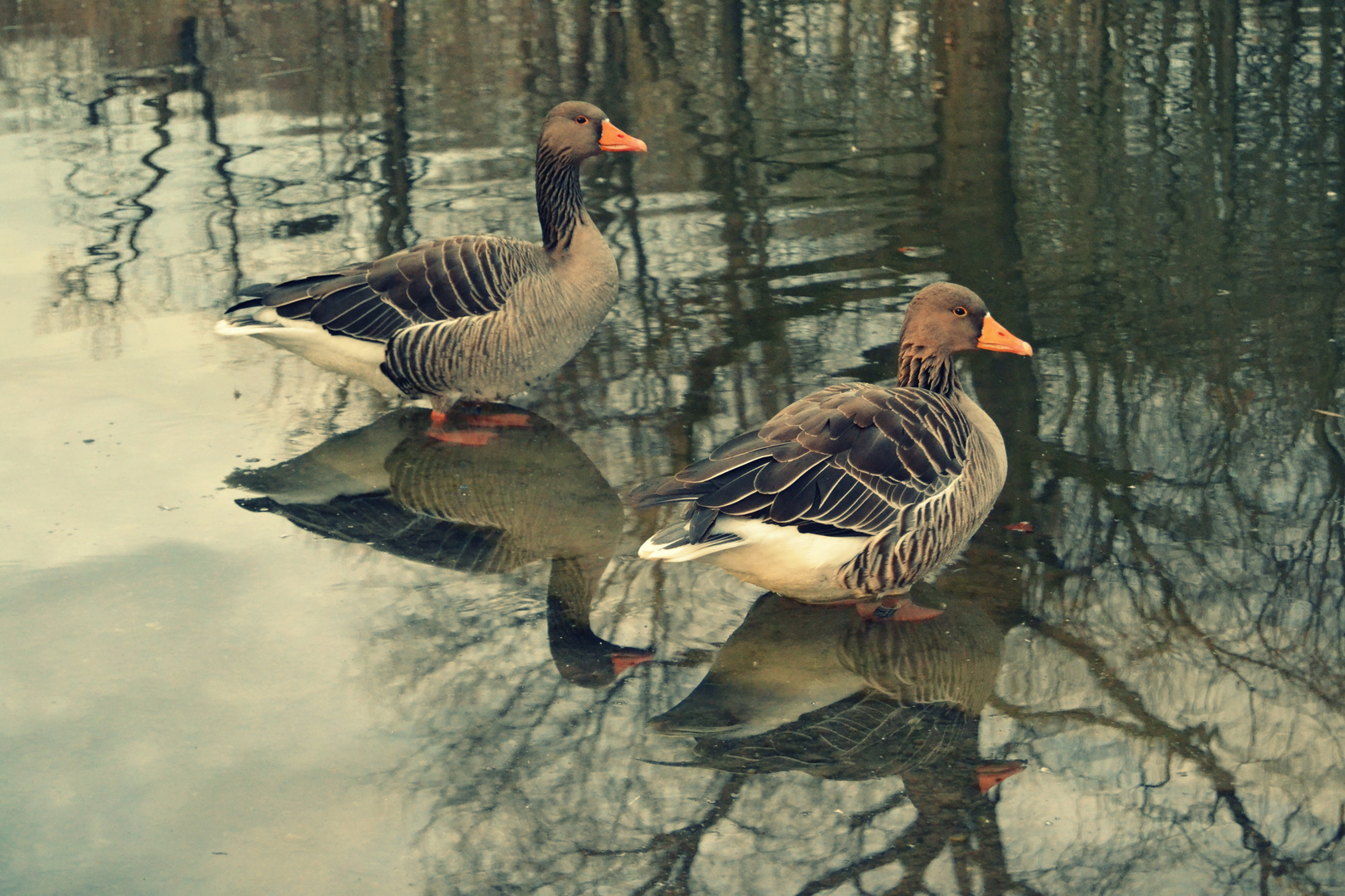 Vogelpark