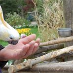 Vogelpark Heilienkirchen