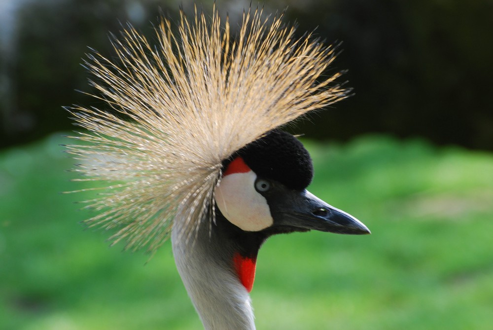 Vogelpark Heiligenkirchen