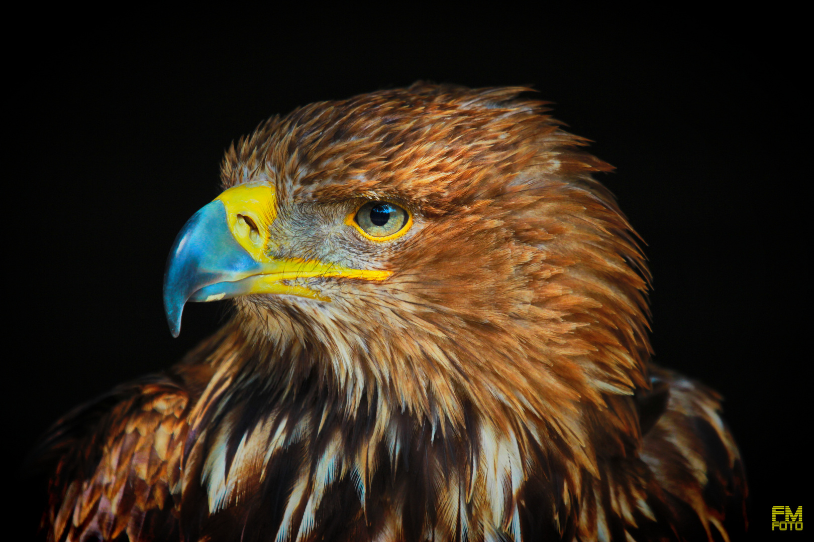 Vogelpark Hellental