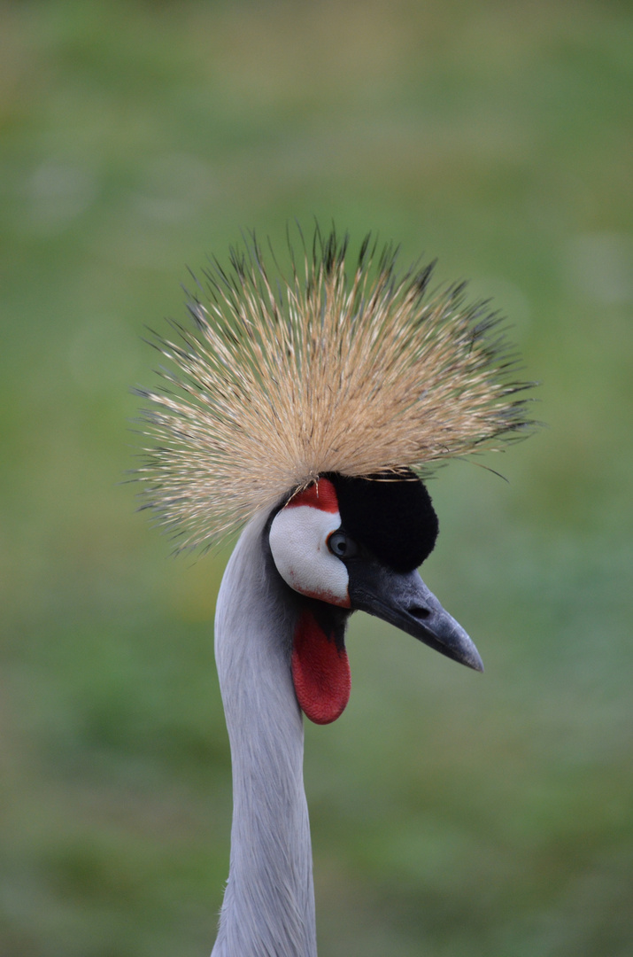 Vogelpark Herborn