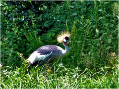 Vogelpark Marlow