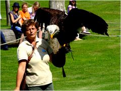 Vogelpark Marlow I