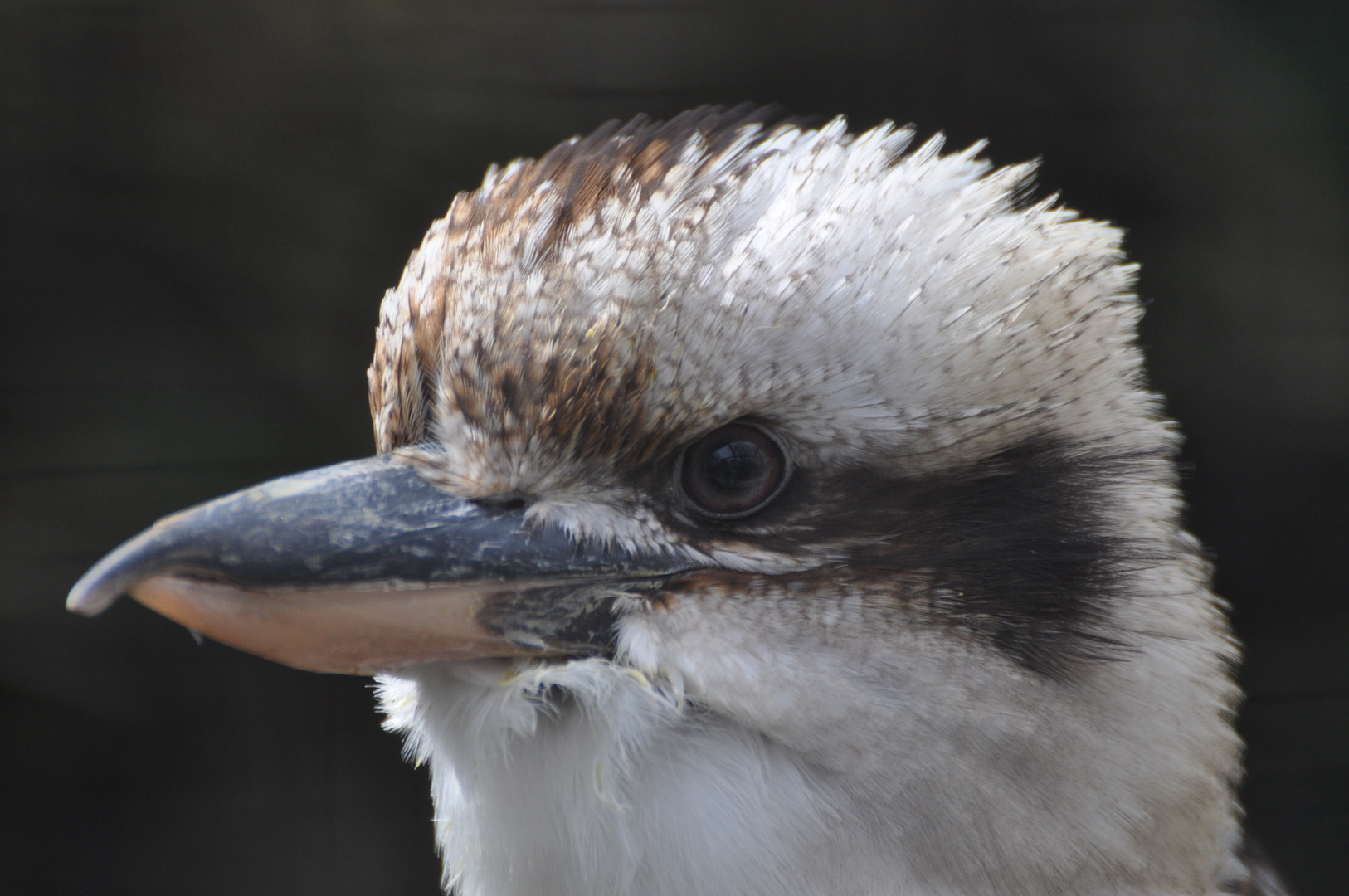 Vogelpark Olching