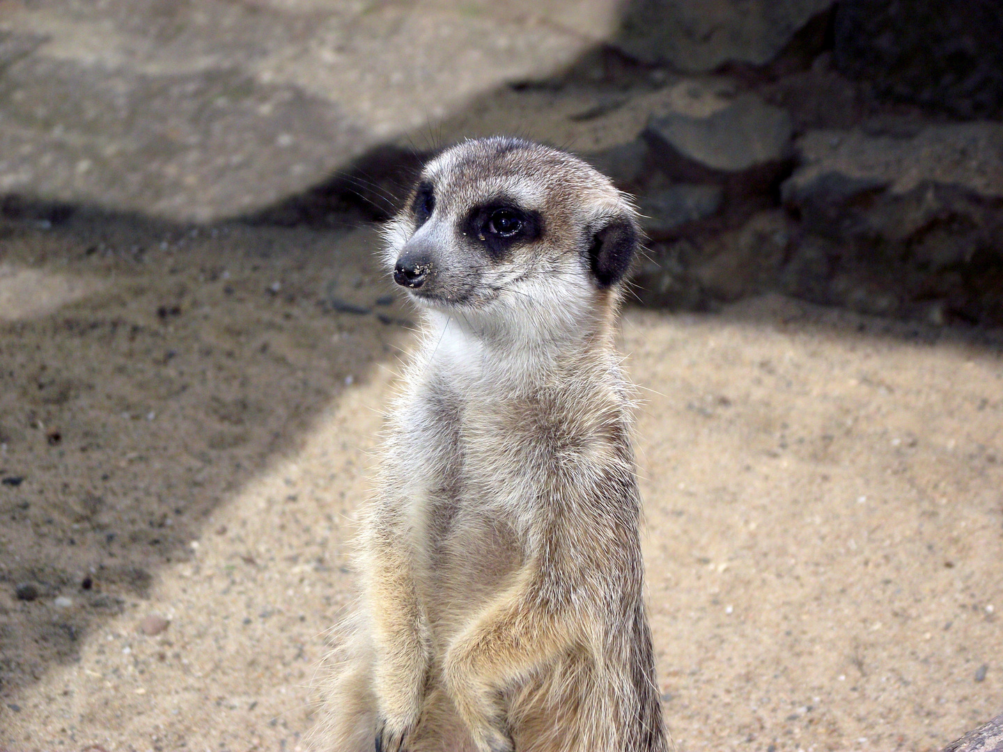 Vogelpark Schotten 5