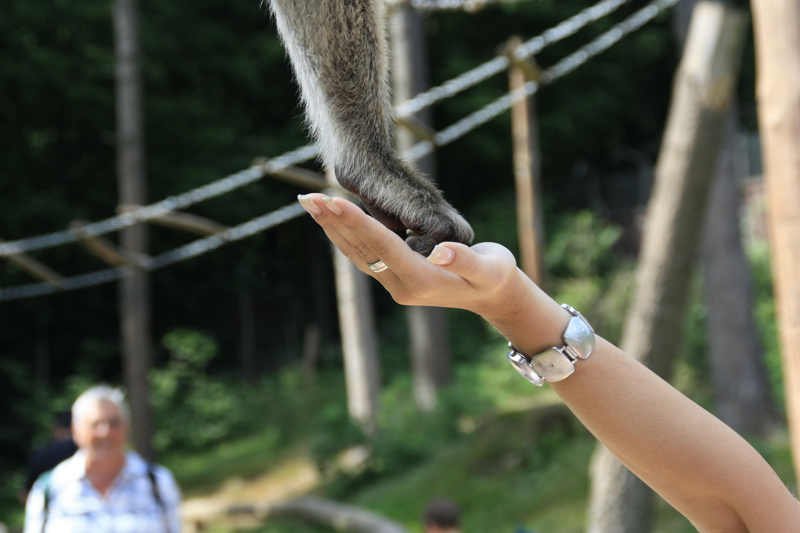 Vogelpark Steinen