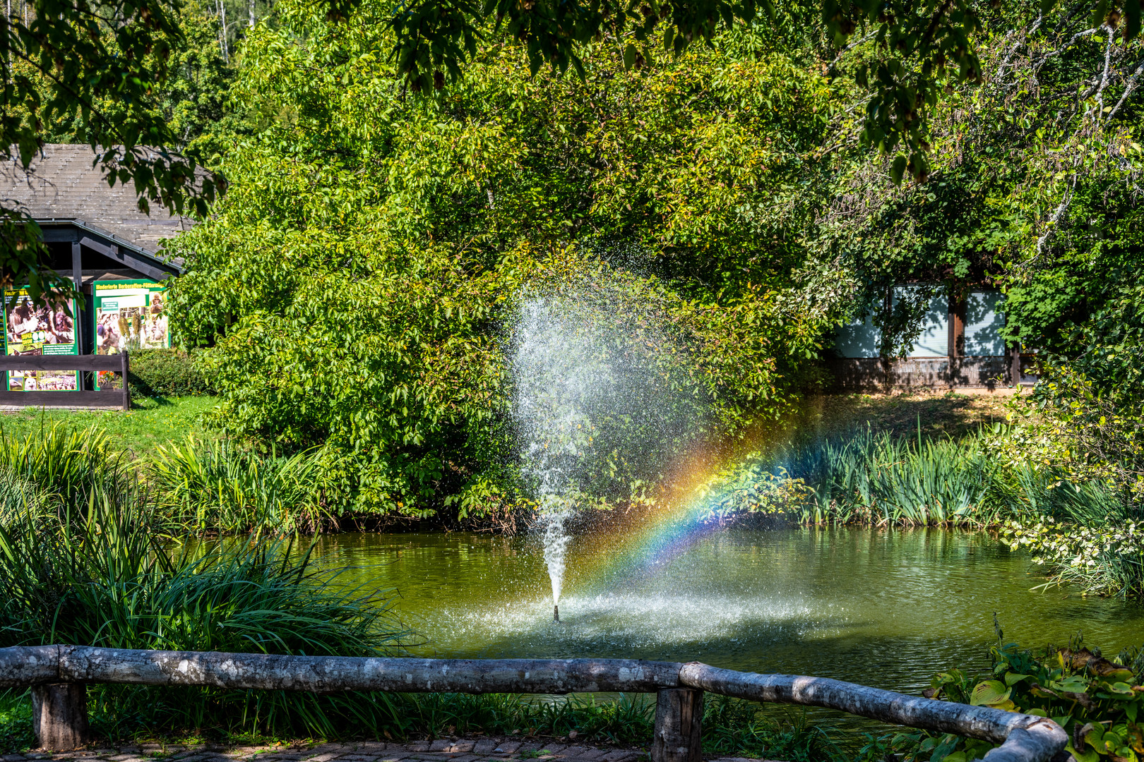 Vogelpark Steinen-DSC_6511