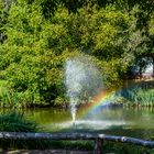 Vogelpark Steinen-DSC_6511