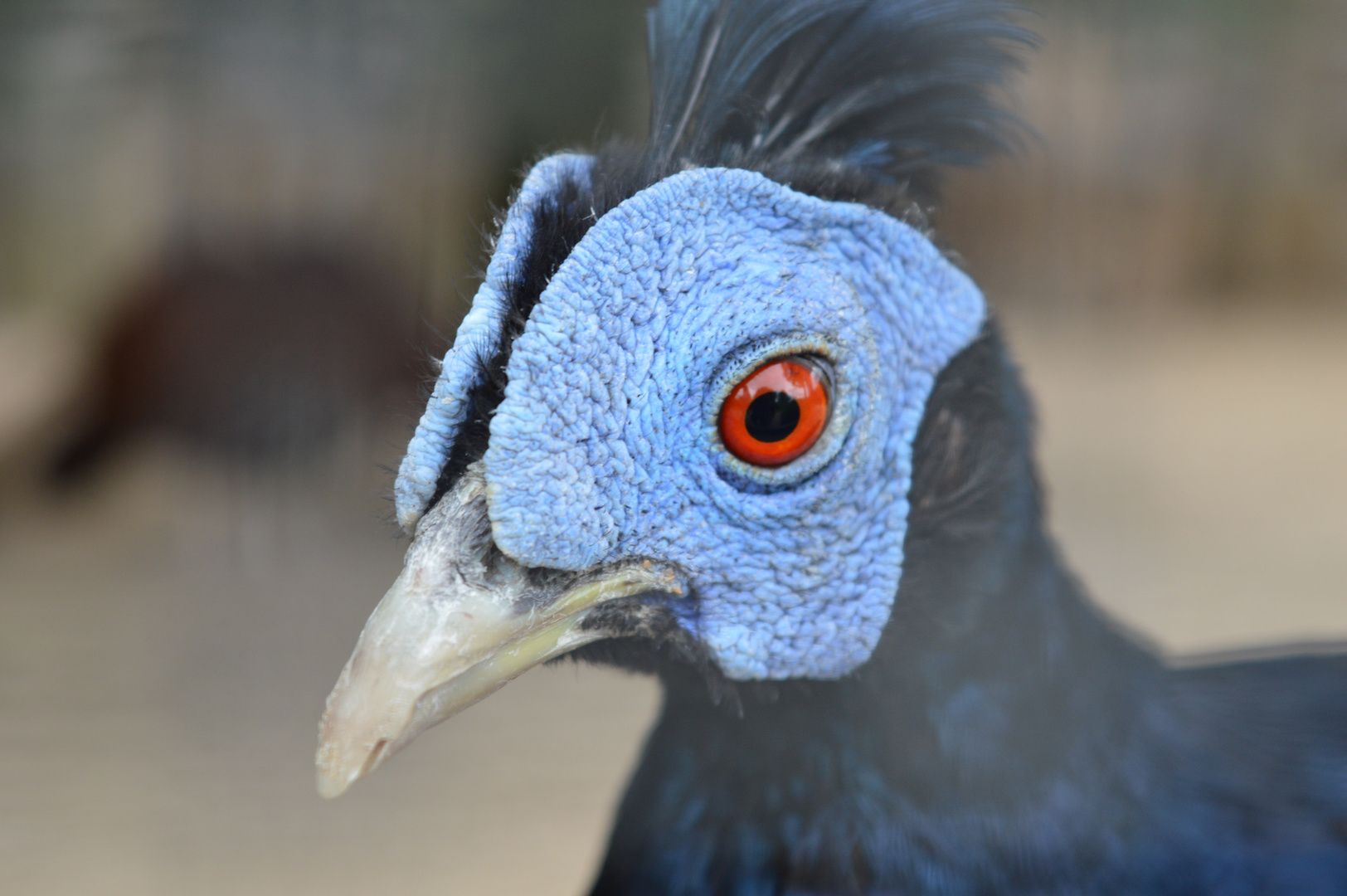 Vogelpark Timmendorfer Strand