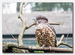 Vogelpark Walsrode #2