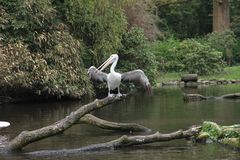 Vogelpark Walsrode