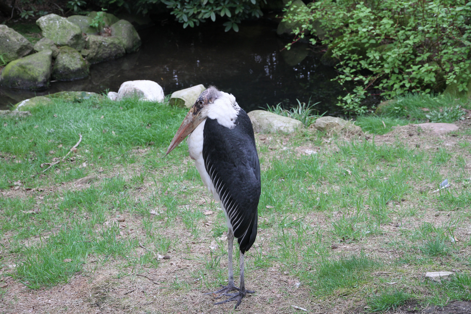 Vogelpark Walsrode