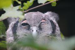 Vogelpark Walsrode