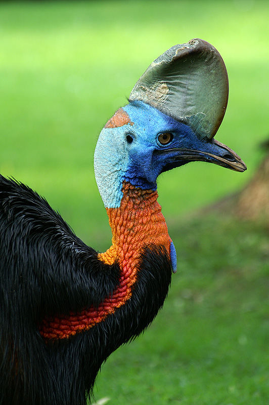 Vogelpark Walsrode