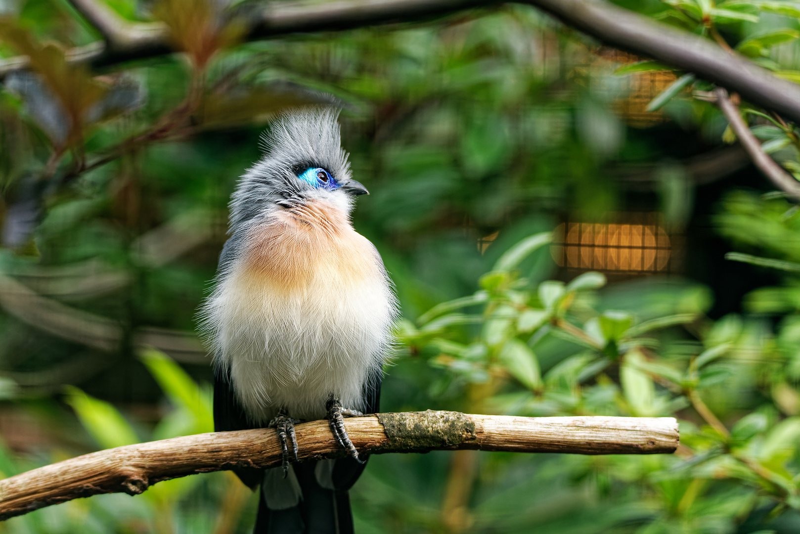 Vogelpark Walsrode