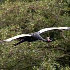 Vogelpark Walsrode