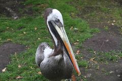 Vogelpark Walsrode