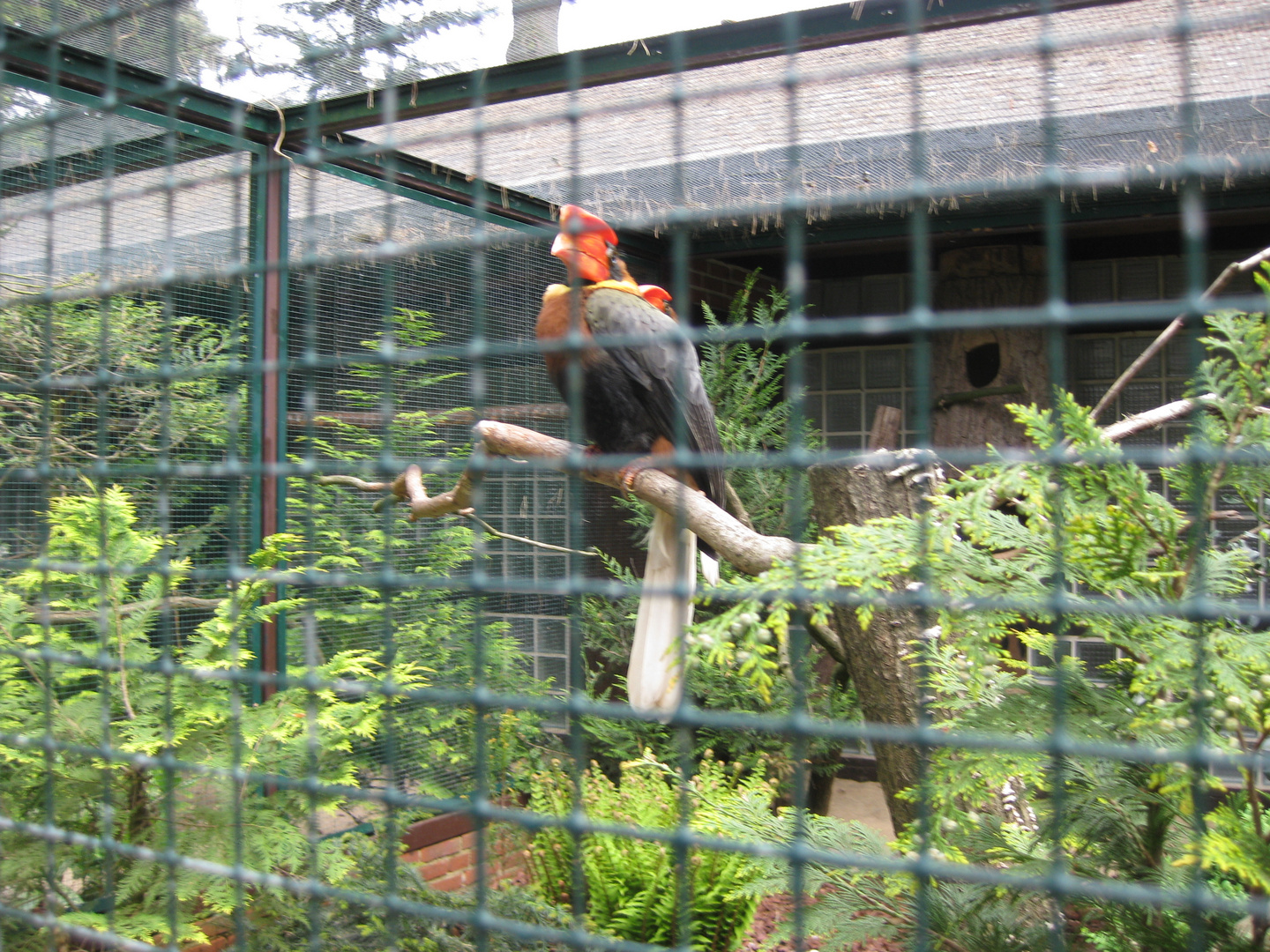 Vogelpark Walsrode