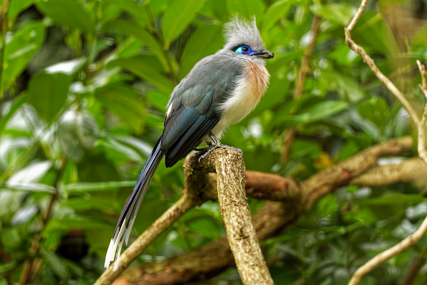 Vogelpark Walsrode