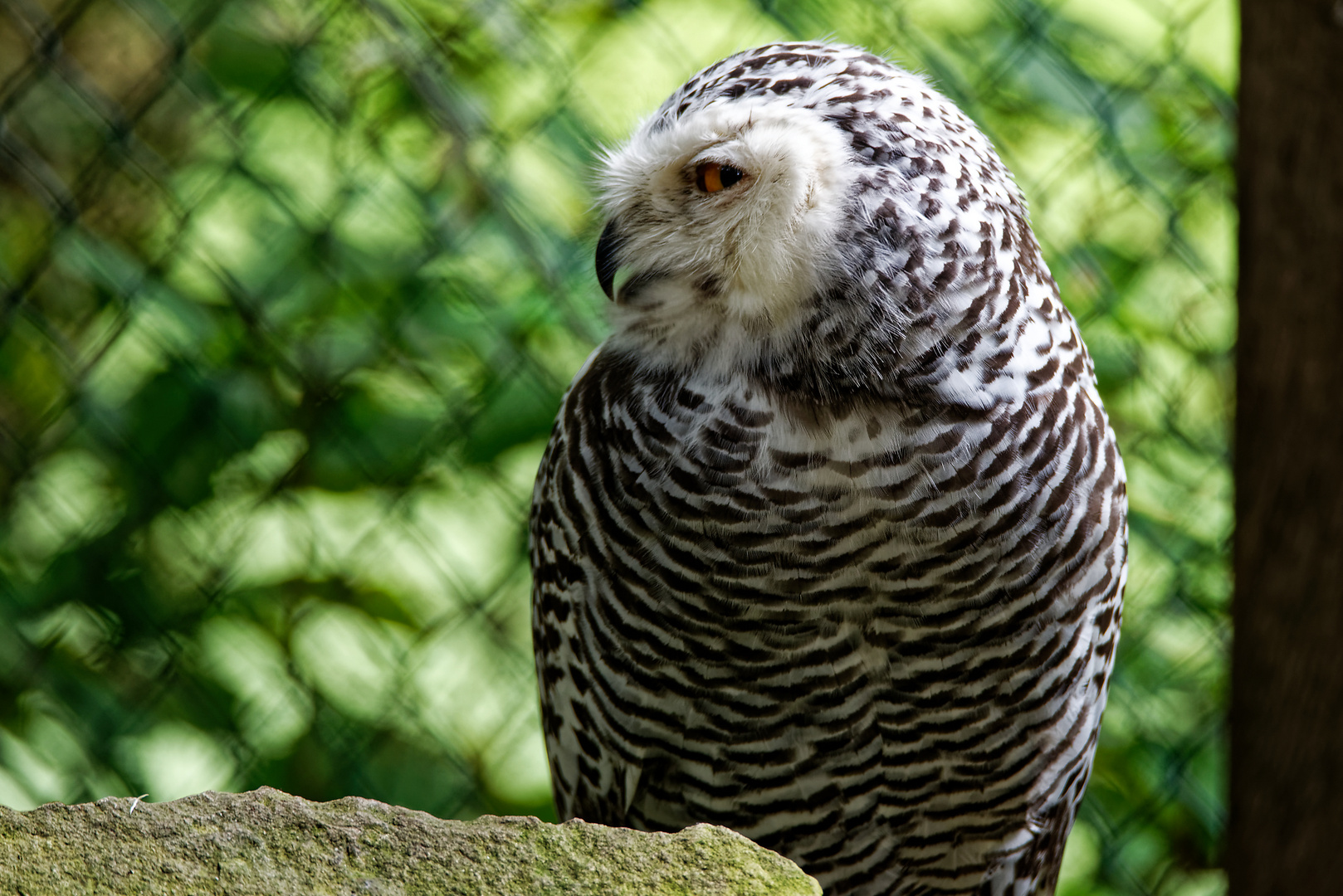 Vogelpark Walsrode