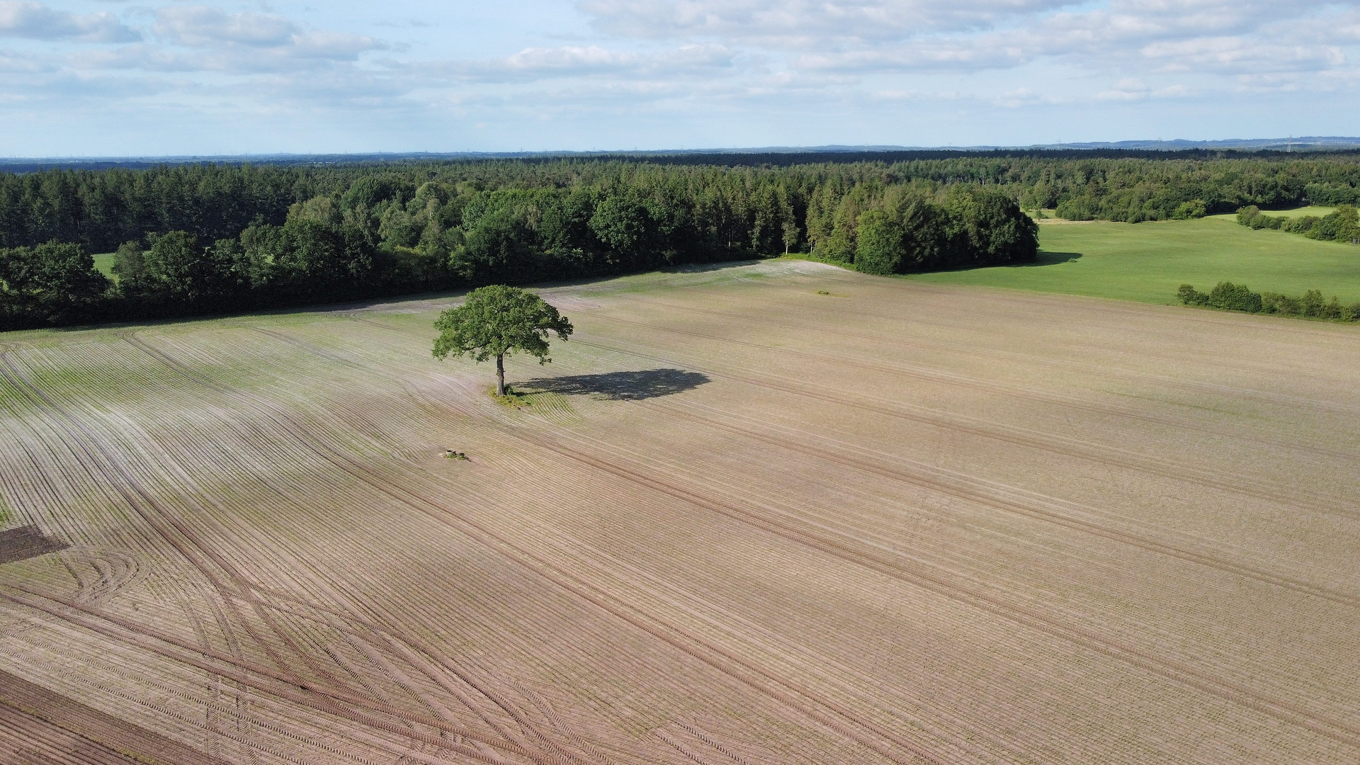 Vogelperspektive