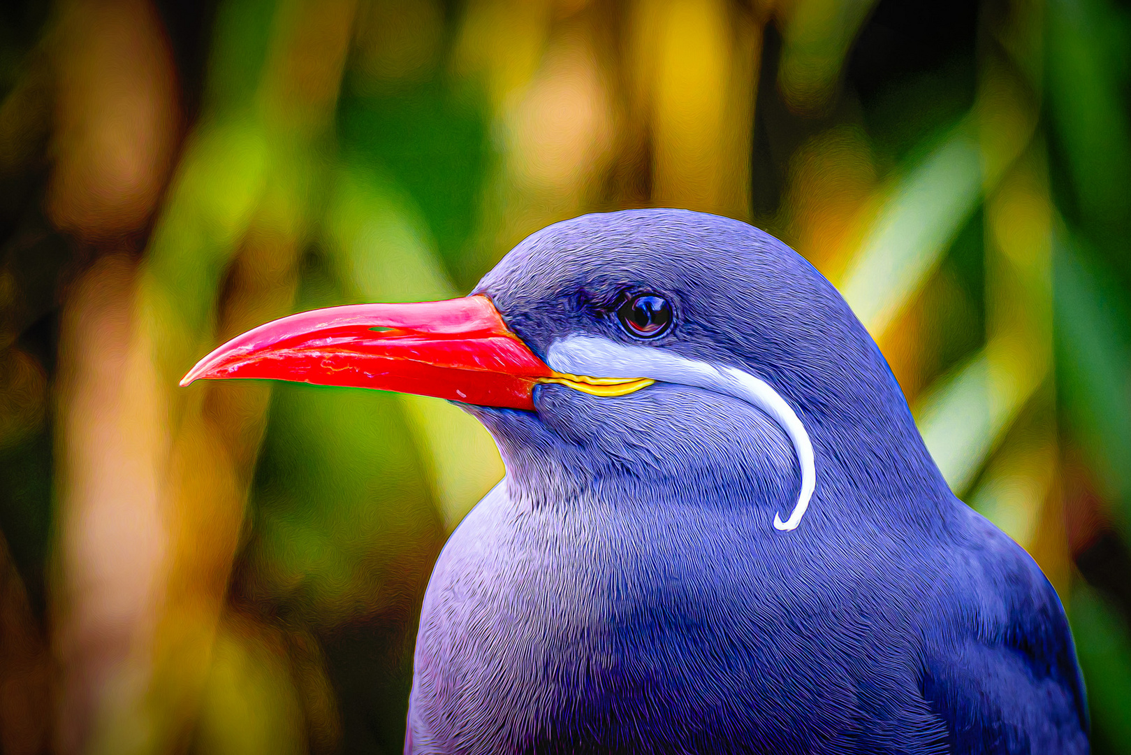 Vogelportrait