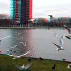 Vogels lageland Rotterdam 3d anaglyph