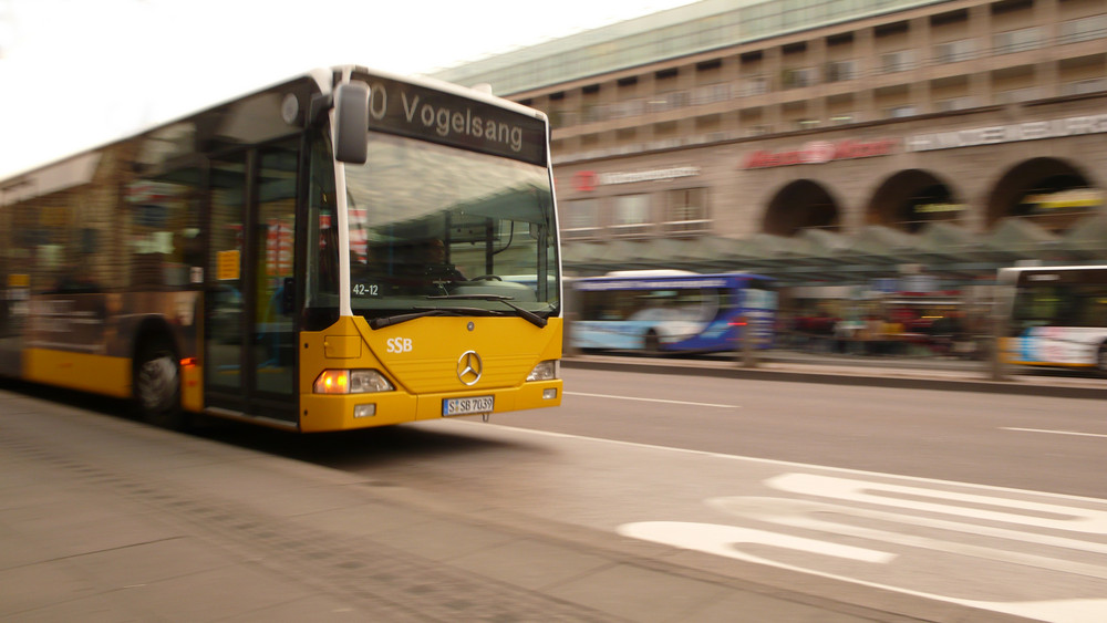 Vogelsang als Dynamik